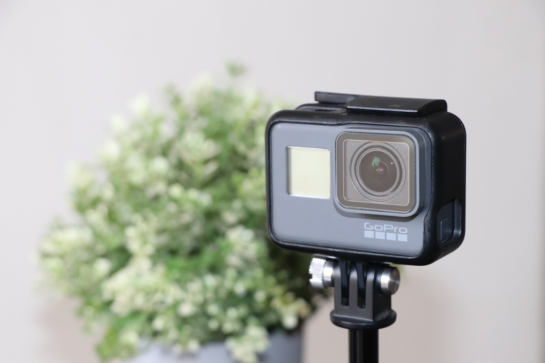 A GoPro set up in a room with a flower arrangement behind